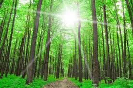 Scegliere il Sole Rewatt